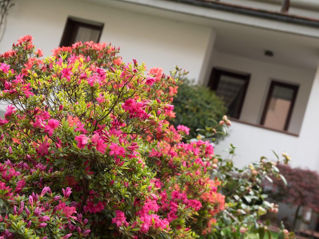 Casa Vacanze Boario Boario Terme Exteriér fotografie